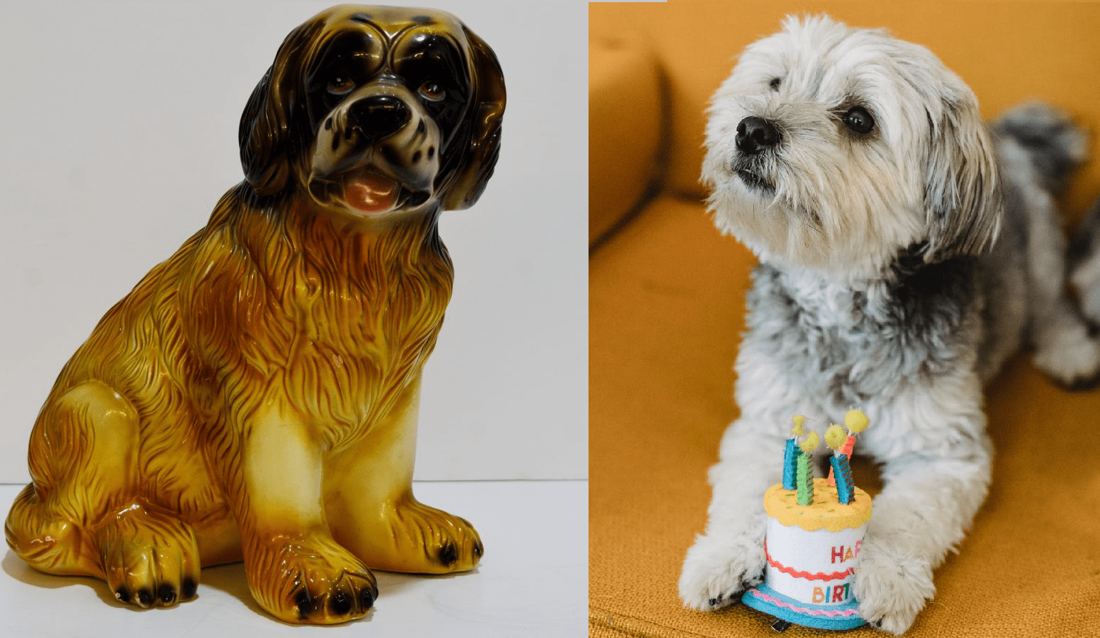 regalos decorativos para amantes de los perros